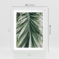 Plakat w ramie 40x50 - Spokojna Piękność Palmowych Liści - palma, liście palmy - rama biała