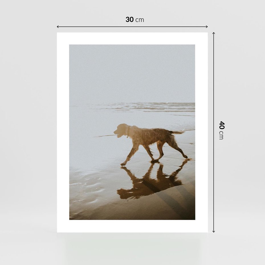 Plakat bez ramy 30x40 - Przyjaciel na Plaży - pies, na plaży