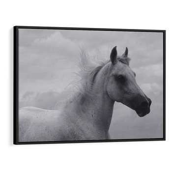 Obraz w ramie 100x70 - Moc i Wolność - czarno biała fotografia, biały - rama czarna