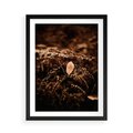 Plakat w ramie 50x70 - Gałęzie i Liść w Brązowej Tonacji - suche gałęzie, liść - rama czarna