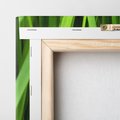 Obraz na płótnie 80x80 - Trawa w abstrakcji: natura przekształcona - trawa, abstrakcja