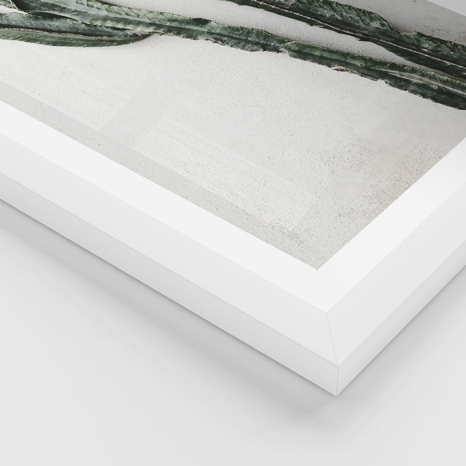 Plakat w ramie 50x70 - Zielona Roślina z Liśćmi - zielona roślina, liście - rama biała