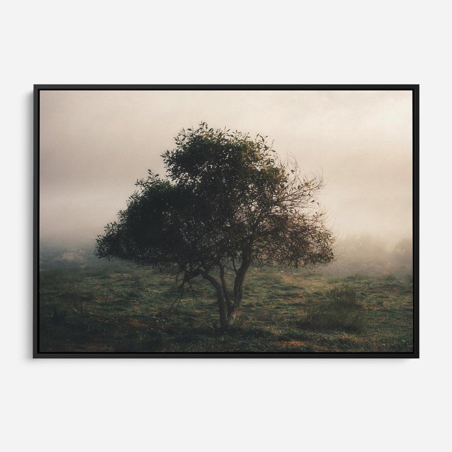 Obraz w ramie 100x70 - Zamglona Prostota - artystyczna fotografia, samotne drzewo na zamglonej łące - rama czarna