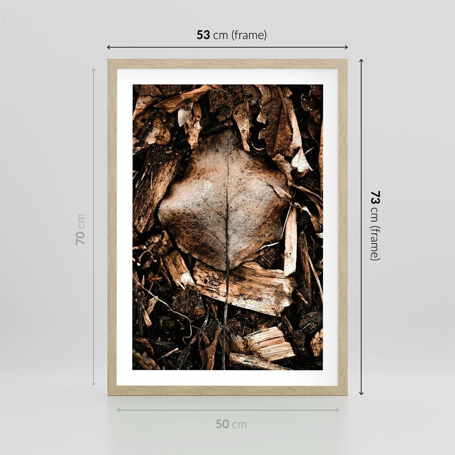 Plakat w ramie 50x70 - Samotny Liść - liść, brąz - rama drewno