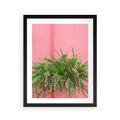 Plakat w ramie 40x50 - Fotografia Rośliny z Różowym Tłem - fotografia, zielona roślina na tle różwj ściany - rama czarna