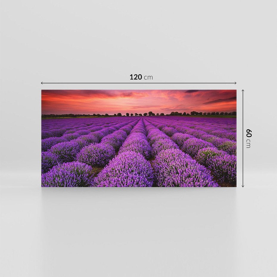Obraz na płótnie 120x60 - Lawenda: polne zauroczenie - lawenda, kwiaty