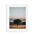 Plakat w ramie 40x50 - Siła Natury - drzewo, pejzaż - rama biała