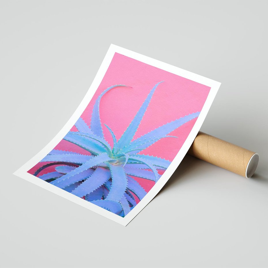 Plakat bez ramy 21x30 - Piękno Pustyni - kaktusy, liście