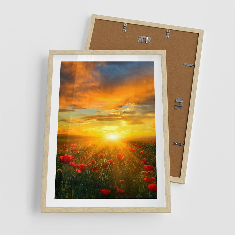 Plakat w ramie 50x70 - Magia zachodu słońca na łące z makami - łąka, zachód słońca - rama drewno