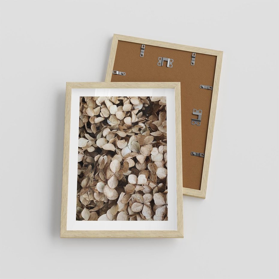 Plakat w ramie 30x40 - Delikatność Hortensji: Kompozycja Kwiatów w Beżu - hortensja, odcienie beżu - rama drewno