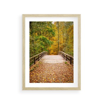 Plakat w ramie 50x70 - Spacer Ścieżką w Las - ścieżka, spacer - rama drewno