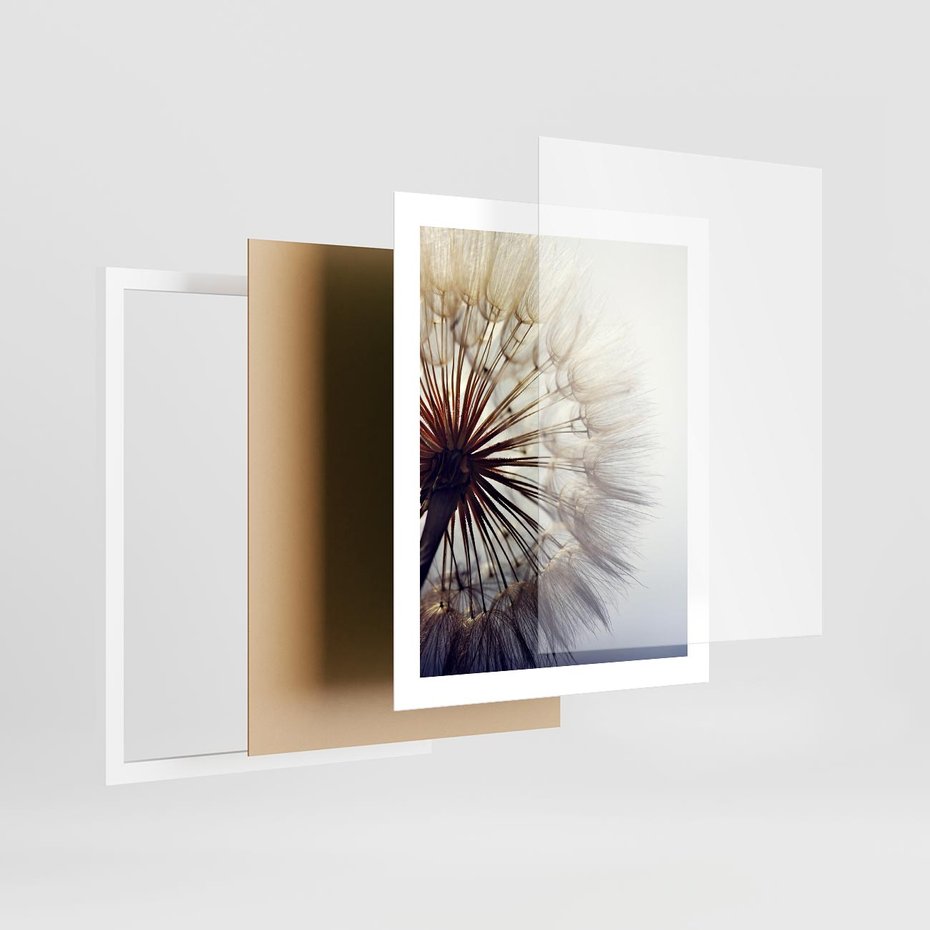 Plakat w ramie 40x50 - Makro piękno dmuchawca - makro, dmuchawiec - rama biała