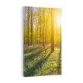 Obraz na płótnie 70x100 - Uroda lasu: harmonia drzew - las, drzewa