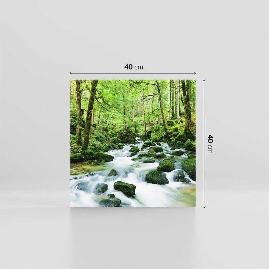 Obraz na płótnie 40x40 - Spokój Wodospadu: Las i Drzewa - wodospad, las