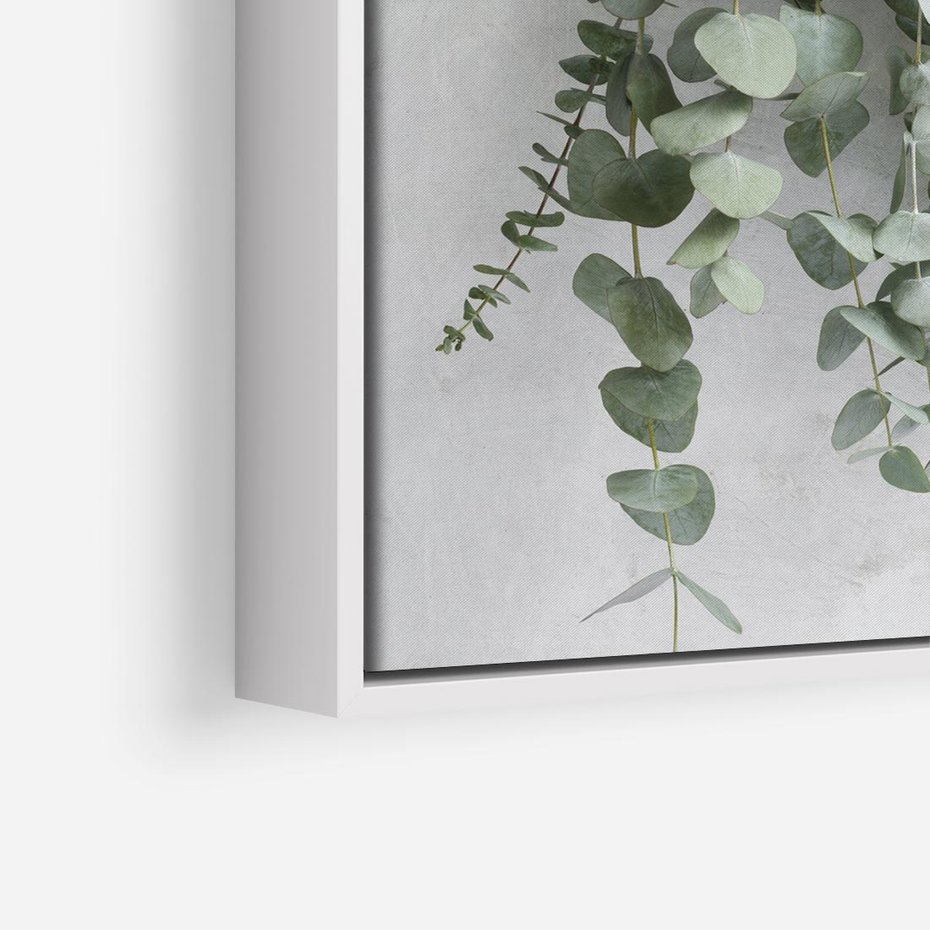 Obraz w ramie 80x80 - Uwodzicielska zieleń eukaliptusa - eukaliptus, zielone - rama biała