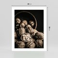 Plakat bez ramy 40x50 - Orzechy Włoskie w Sepii - orzechy włoskie, fotografia retro