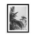 Plakat w ramie 50x70 - Palmy w Monochromii - palmy, tropikalne palmy - rama czarna