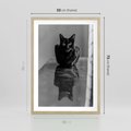 Plakat w ramie 50x70 - Kocie Oczy - kot, czarno białe zdjęcie - rama drewno