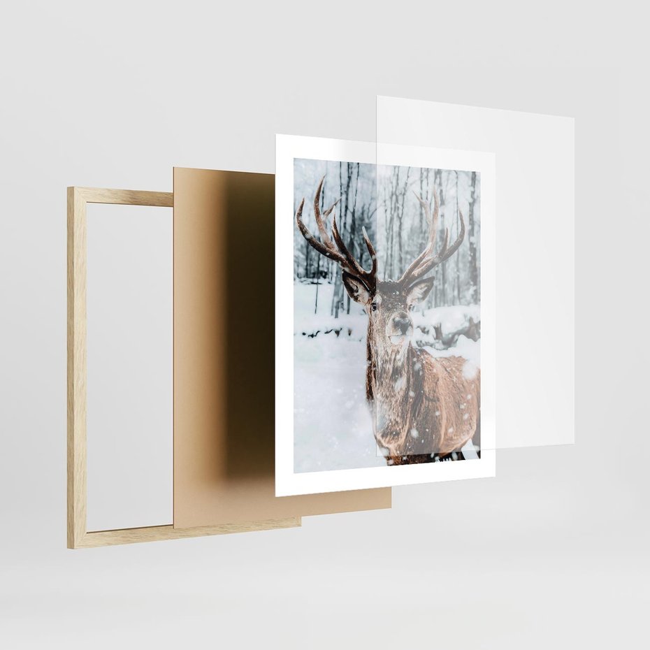Plakat w ramie 40x50 - Jeleń na Zdjęciu pod Śniegiem - jeleń, zima - rama drewno