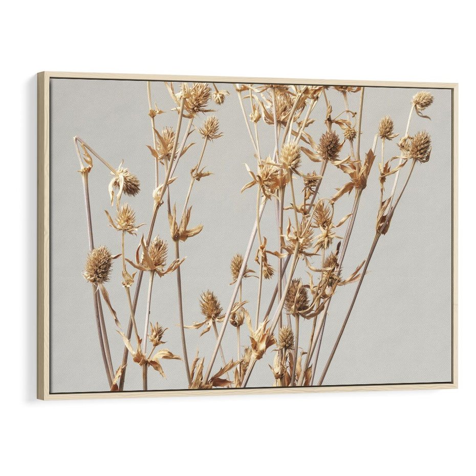 Obraz w ramie 120x80 - Delikatne gipsówki - gipsówka, suche - rama drewno