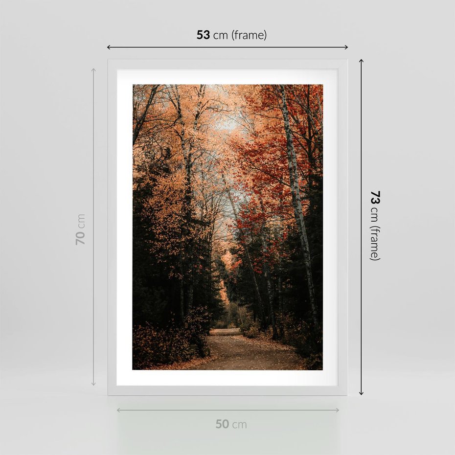Plakat w ramie 50x70 - Drzewa w Czerwonych Liściach - las, jesienny las - rama biała