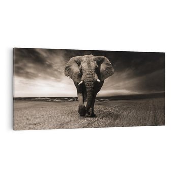 Obraz na płótnie 100x50 - Słoń - Wielki Przyjaciel Morza - słoń, plaża