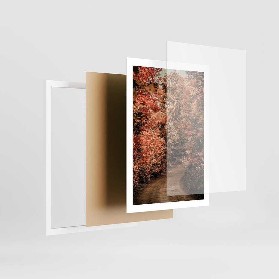 Plakat w ramie 50x70 - Obraz przedstawia jesienne drzewa i czerwone liście na ścieżce w lesie. Ta sceneria doskonale oddaje urok i kolorystykę jesieni w lesie. - las, jesień - rama biała