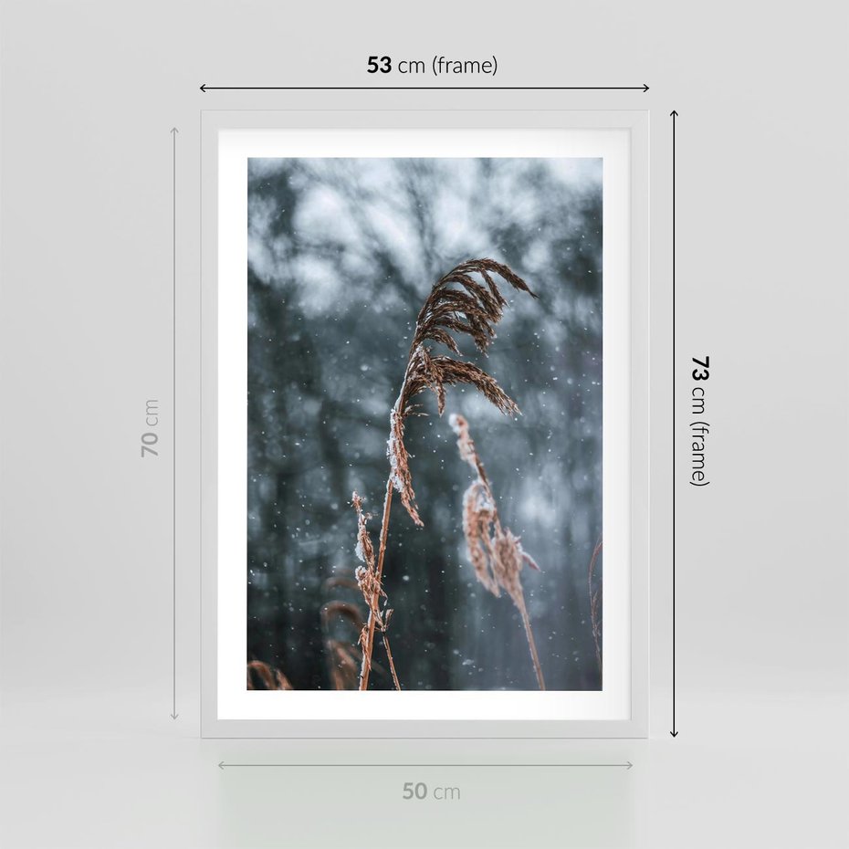 Plakat w ramie 50x70 - Zima na Łonie Natury - sucha wysoka trawa, w zimie - rama biała