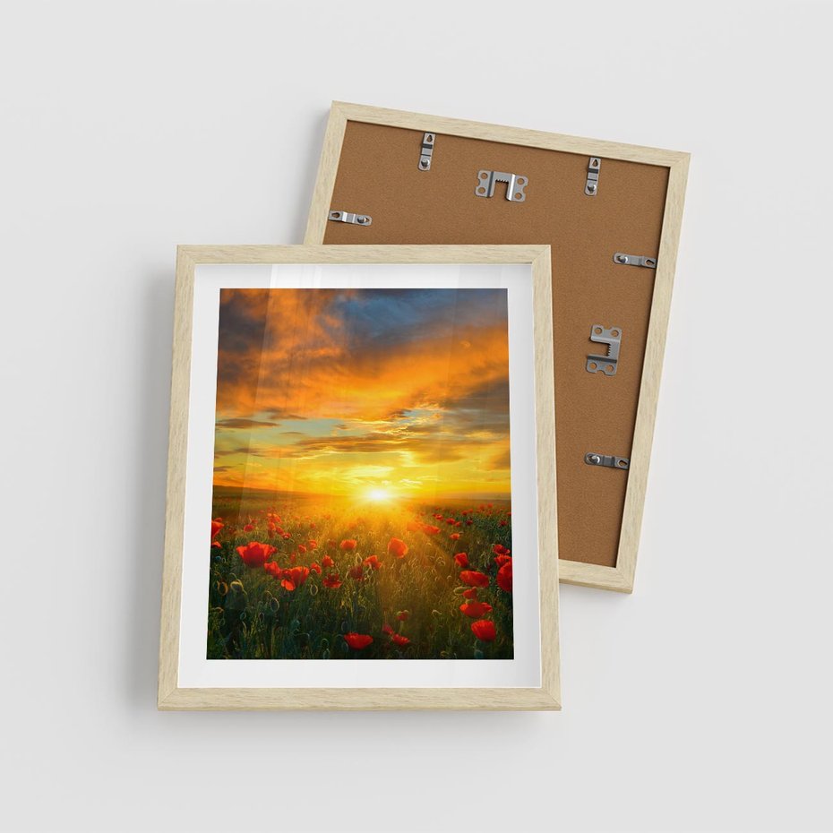 Plakat w ramie 40x50 - Magia zachodu słońca na łące z makami - łąka, zachód słońca - rama drewno