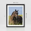 Plakat w ramie 40x50 - Siła i piękno natury - koń, łąka - rama czarna