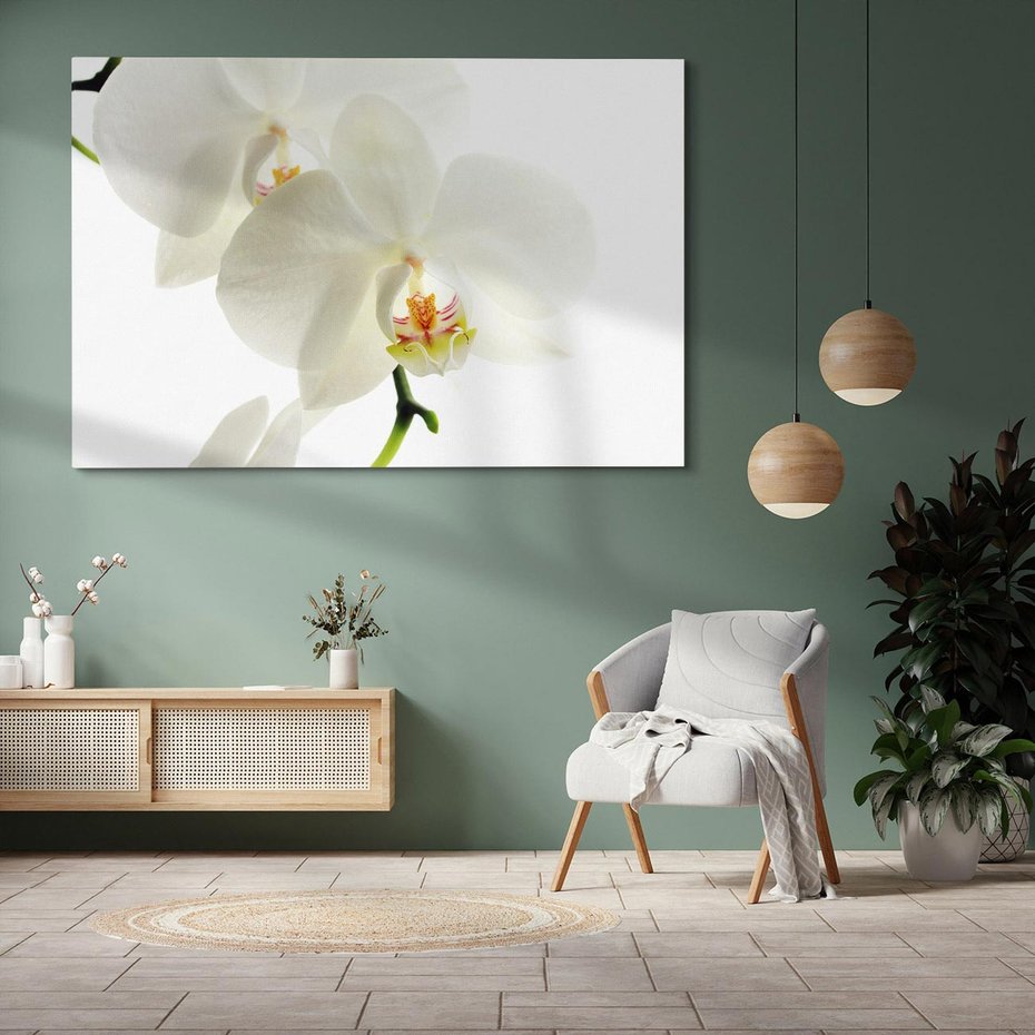 Obraz na płótnie 120x80 - Kwiatowe piękno - kwiat, kwiaty