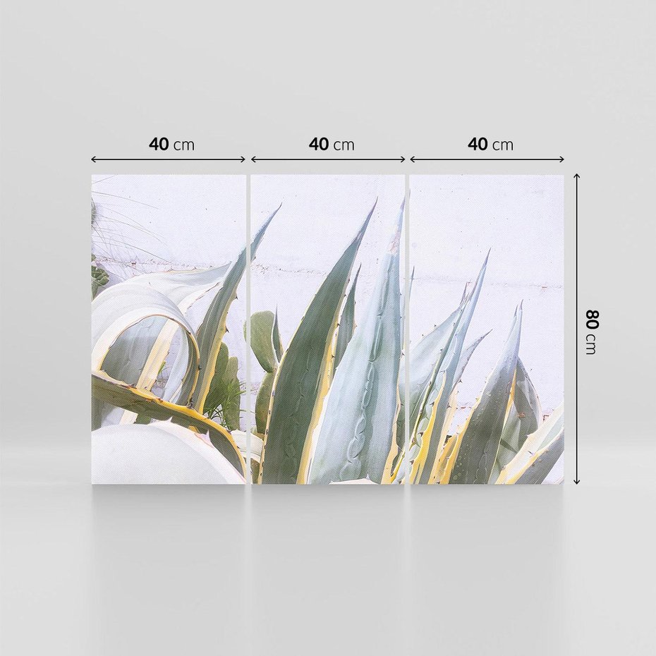 Obraz na płótnie 120x80 - Sukulentowe liście - liście, sukulenty