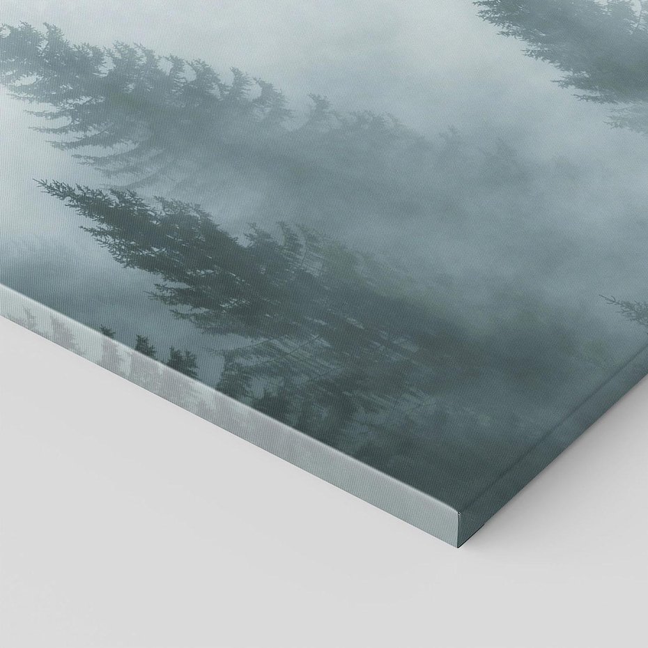 Obraz na płótnie 50x70 - Las w Mgłe - las, we