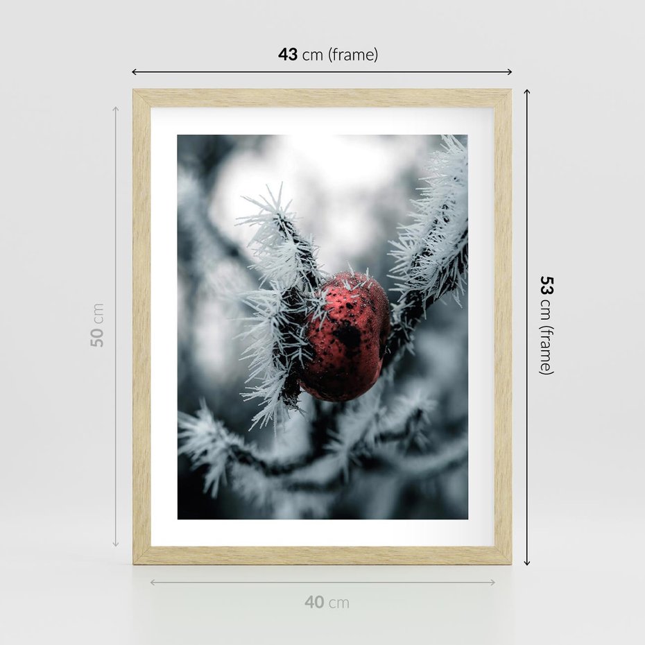 Plakat w ramie 40x50 - Chwila Zimowego Uroku - zima, ośnieżona gałązka - rama drewno