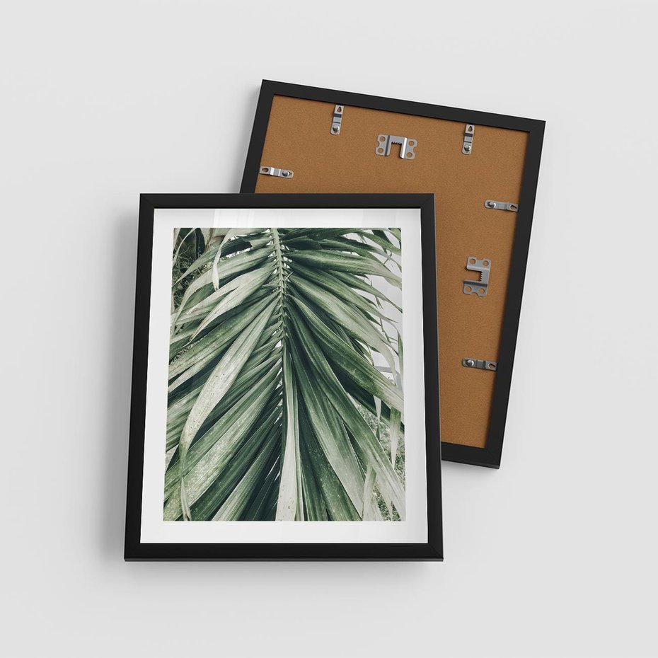 Plakat w ramie 40x50 - Spokojna Piękność Palmowych Liści - palma, liście palmy - rama czarna