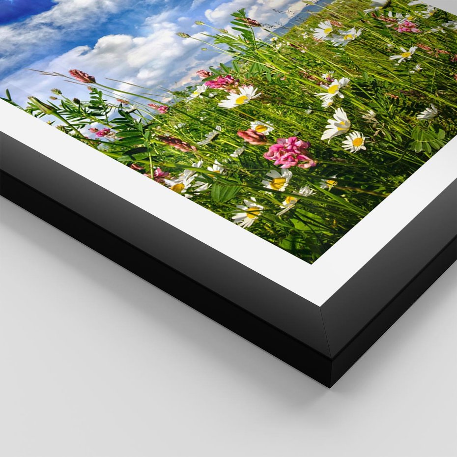 Plakat w ramie 50x70 - Niebiańska łąka pełna kwiatów - łąka, niebo - rama czarna
