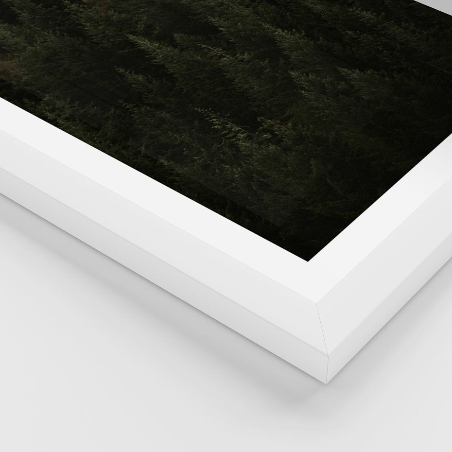 Plakat w ramie 40x50 - Ciemny las iglasty - las, iglasty - rama biała