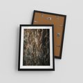 Plakat w ramie 30x40 - Tekstura Drewna: Zbliżenie - zbliżenie na pień drzewa, tekstura - rama czarna
