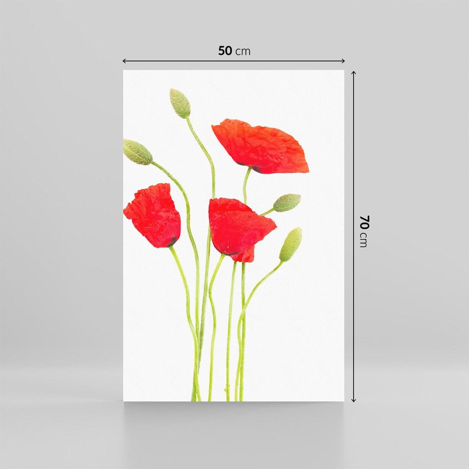 Obraz na płótnie 50x70 - Pola maków w pełnym kolorze - maki, kwiaty
