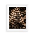 Plakat w ramie 40x50 - Liście i Paprocie - suche liście, paprocie - rama biała