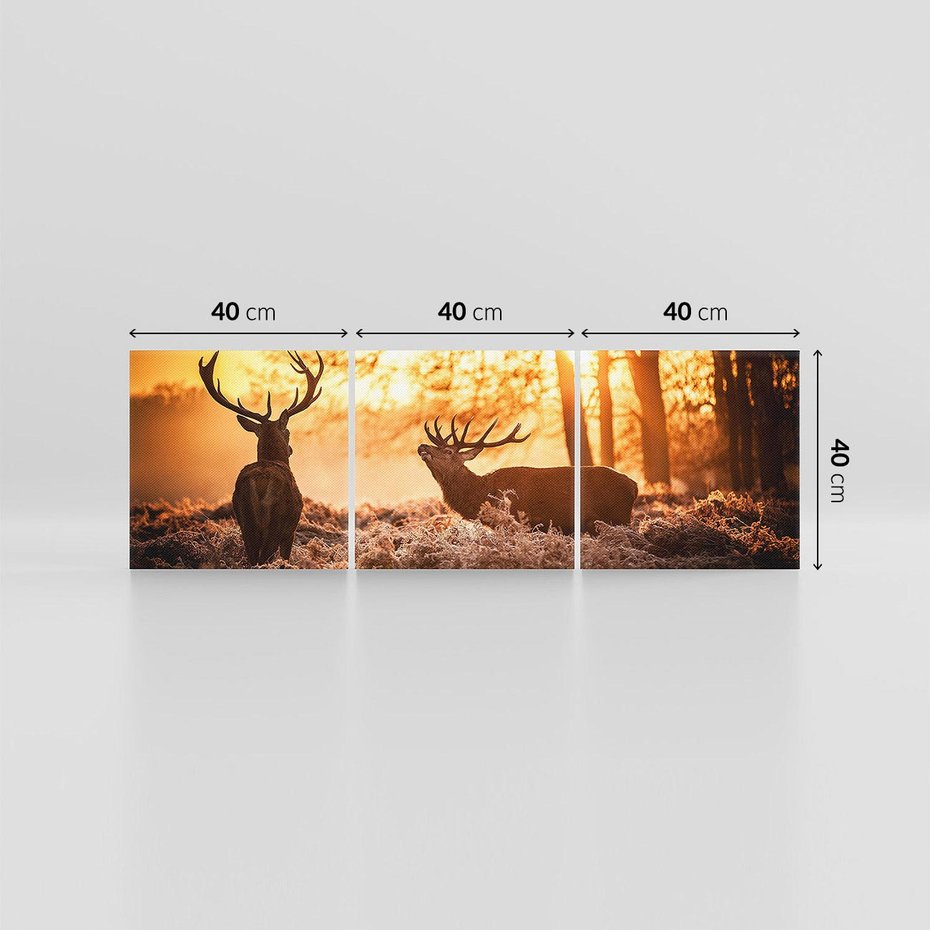 Obraz na płótnie 120x40 - Jeleń w lesie: Spotkanie w dziczy - jeleń, jelenie