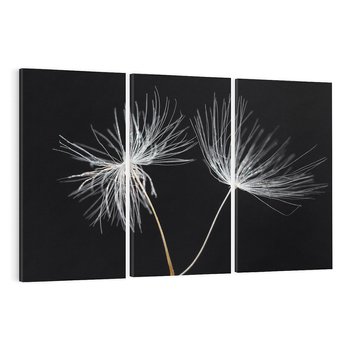 Obraz na płótnie 120x80 - Delikatność Wiatru - dmuchawce, makro