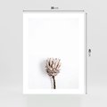 Plakat bez ramy 30x40 - Suszona Roślina na Białym Tle - minimalizm, suszona roślina