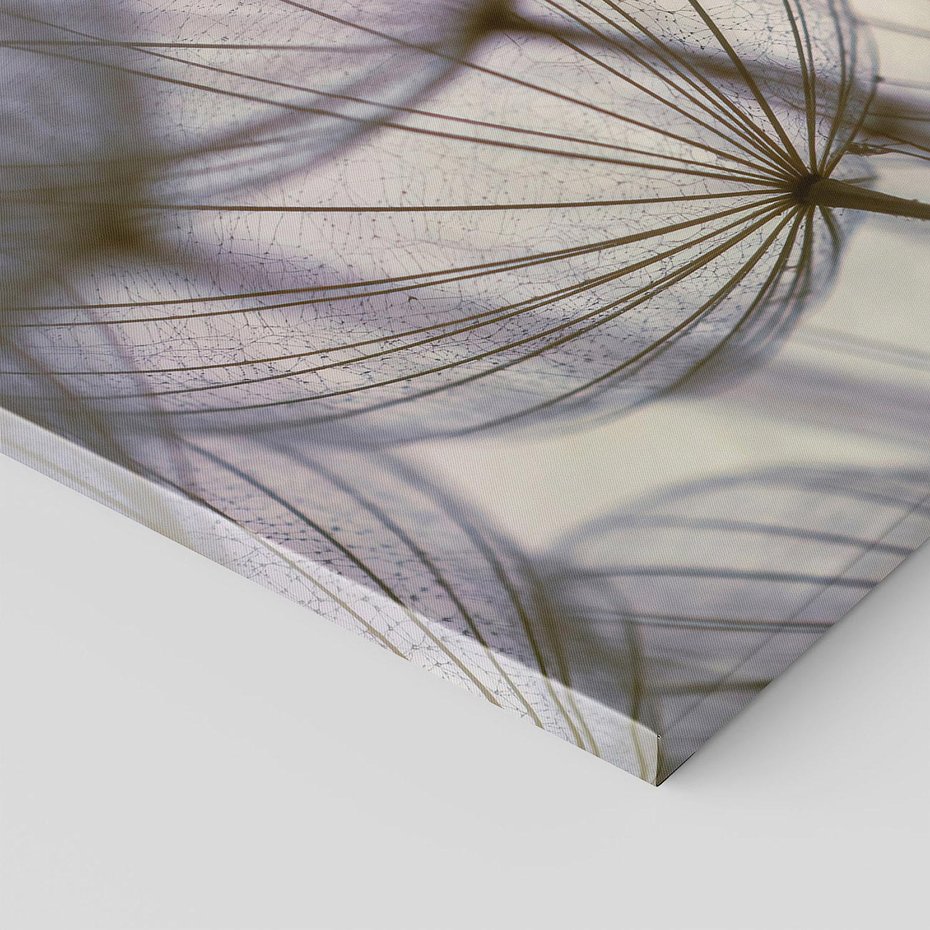 Obraz na płótnie 120x80 - Makro dmuchawiec - piękno drobnych detali - dmuchawce, makro