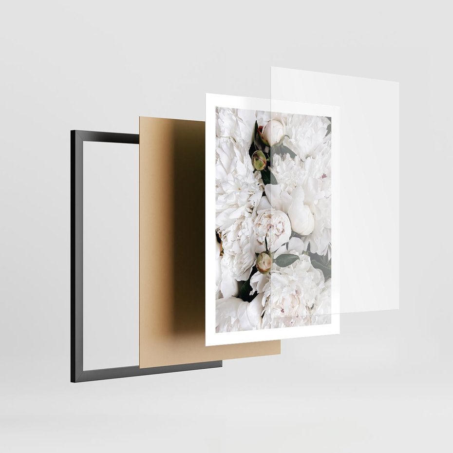 Plakat w ramie 50x70 - Modne Białe Kwiaty - białe kwiaty, płatki - rama czarna