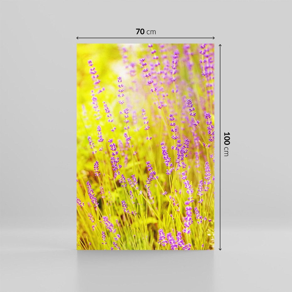 Obraz na płótnie 70x100 - Delikatność natury - lawenda, kwiaty