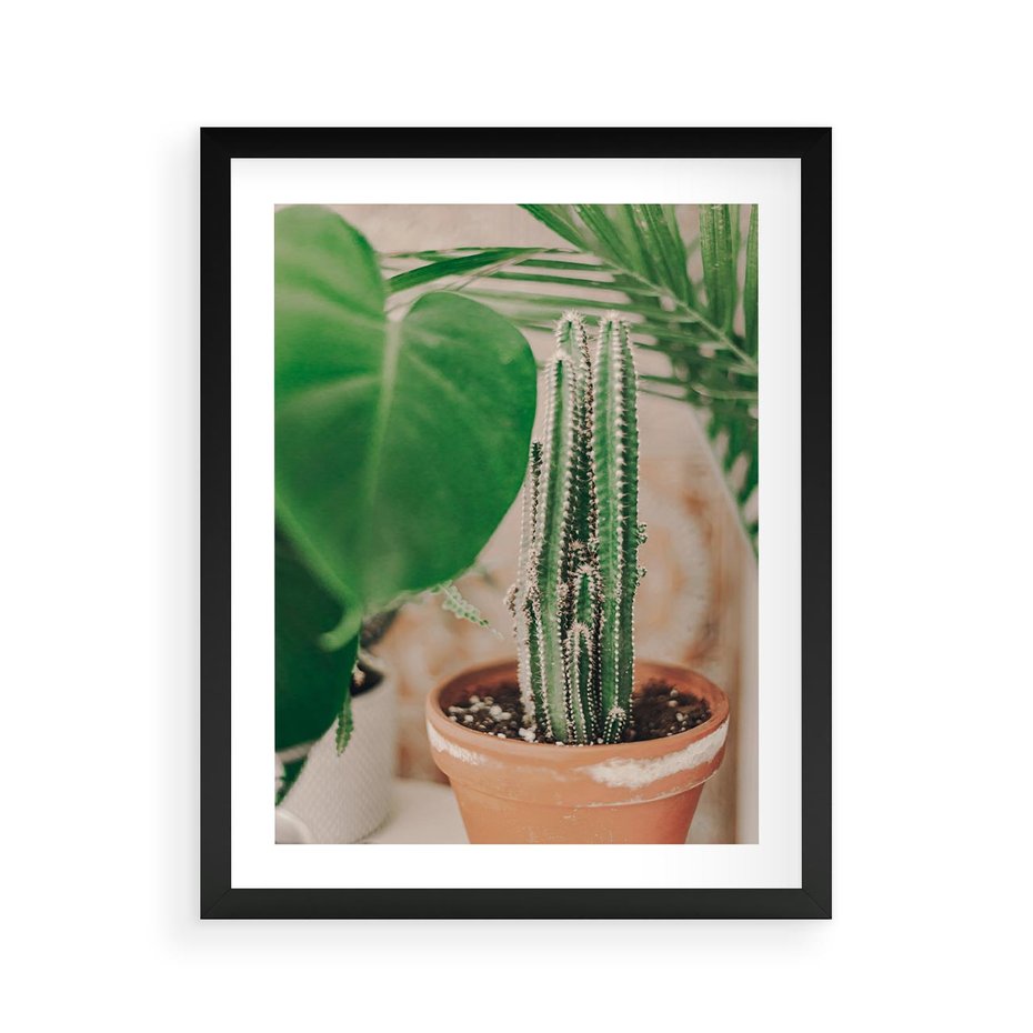 Plakat w ramie 40x50 - Boho Urok - kaktus w doniczce, gliniana doniczka - rama czarna