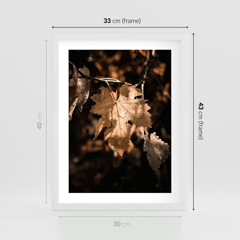Plakat w ramie 30x40 - Uroczy Liść na Drzewie - jesienny liść, żółty liść na drzewie - rama biała