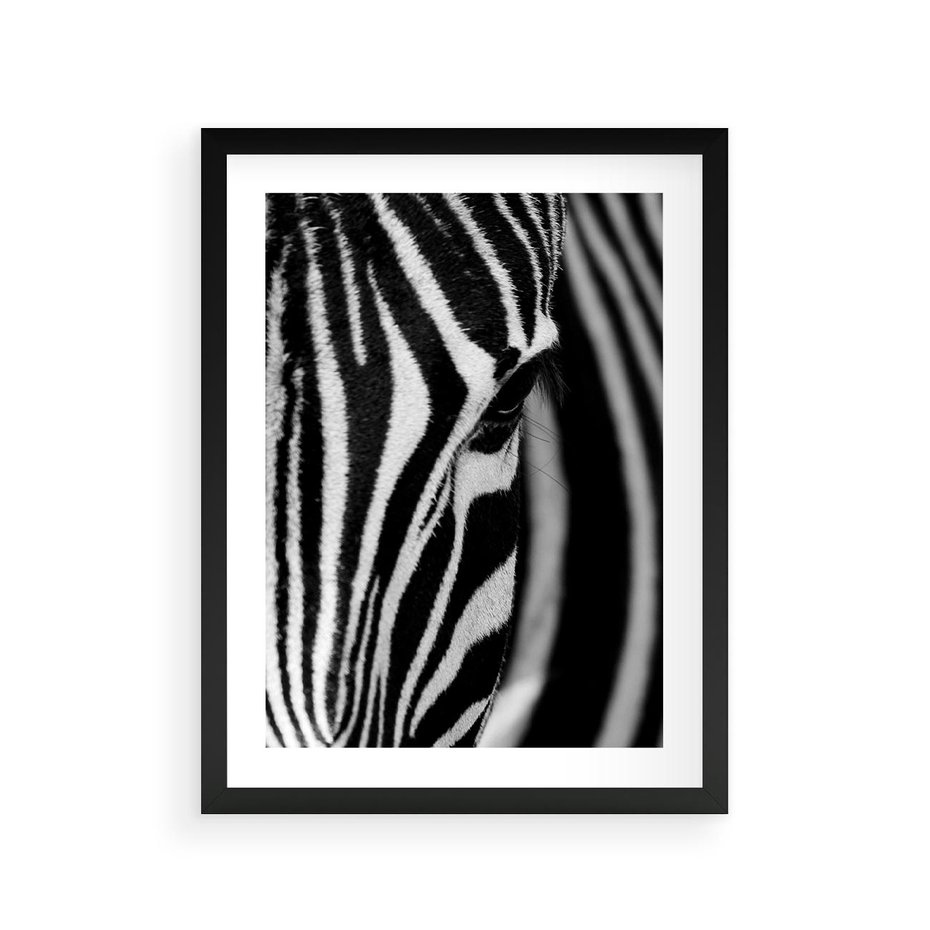 Plakat w ramie 30x40 - Pasy Zebr - zebra, paski - rama czarna