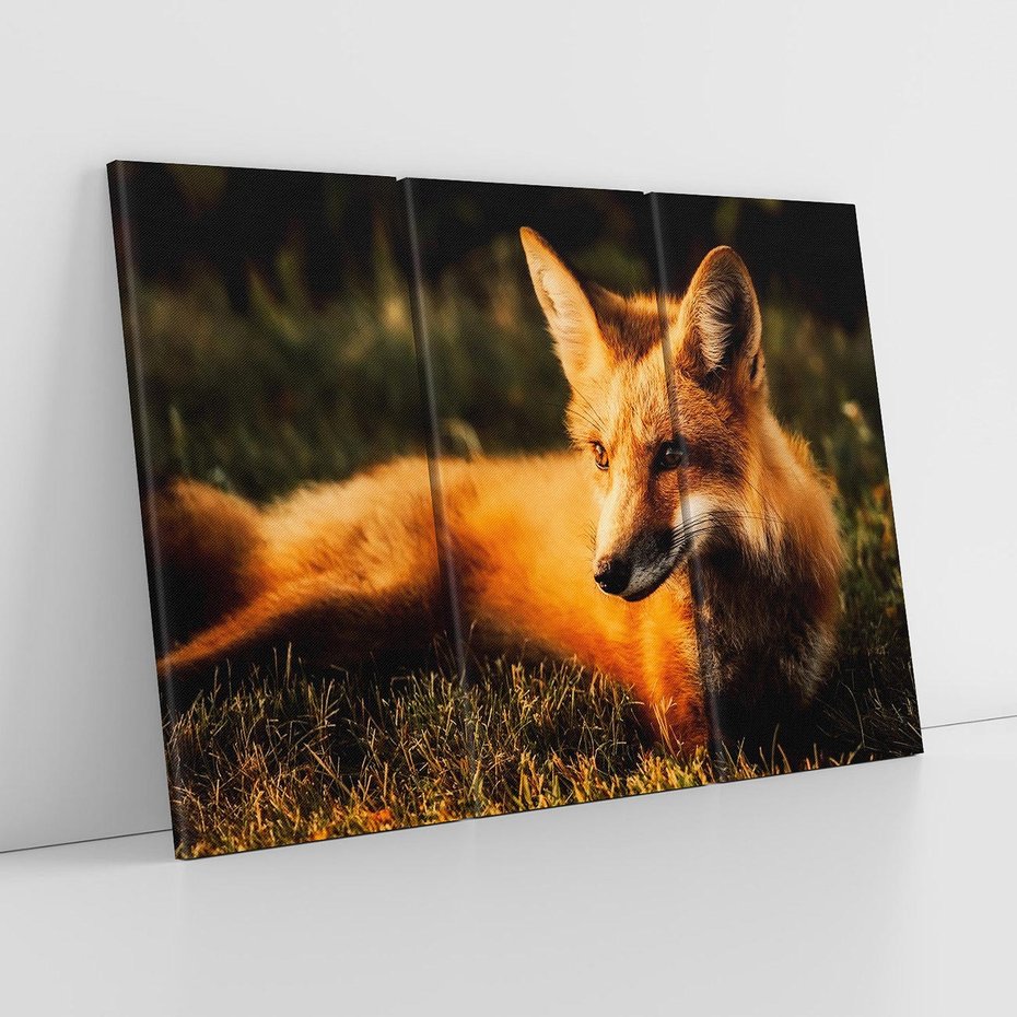 Obraz na płótnie 120x80 - Lisek w lesie - lis, lisek